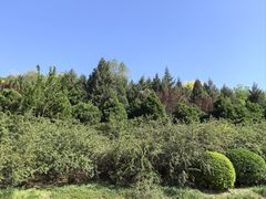 -南翠屏公园