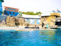 -大连老虎滩海洋公园
