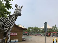 -西霞口神雕山野生动物世界