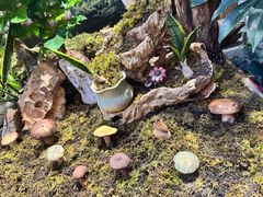 -蔼若春.传承云南菜(金碧公园店)