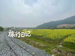 -径山花海