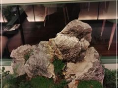 -潮上潮(南中环店)