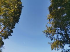 -贡湖湾湿地公园