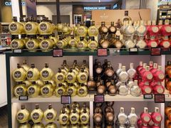 -维也纳国际机场