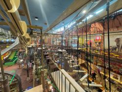 -卡通尼·Safari非洲探索乐园·生日会(金桥国际商业广场店)