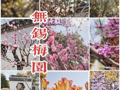 -无锡梅园公园