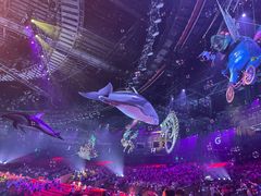 -珠海横琴长隆《卡卡虎奇遇记》