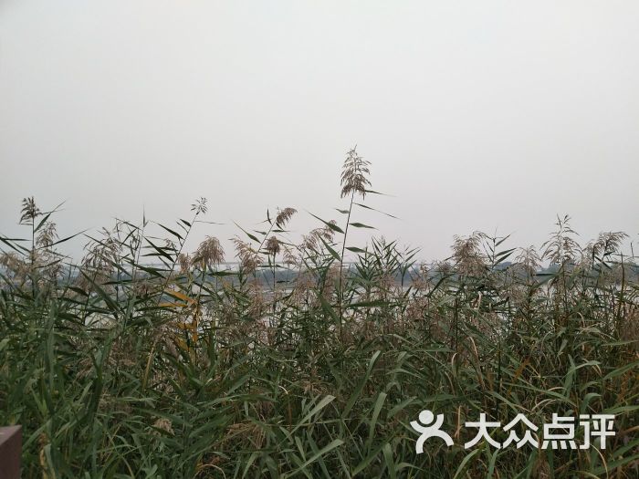 晓月郊野公园图片 - 第6张