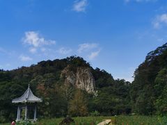 -广州市石门国家森林公园