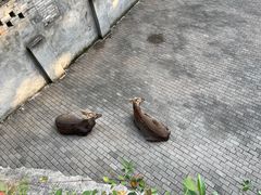 -台州府城(江南长城)
