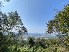 -火炉山森林公园