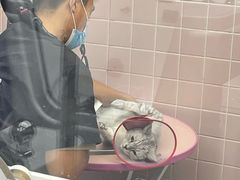 -FAELING PETS美天灵宠物(富力广场店)