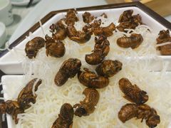 -老德州四合院·德州菜(天衢路店)