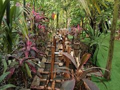 -呀路古热带植物园