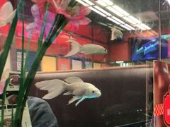 -新辉港式茶餐厅(北栅店)