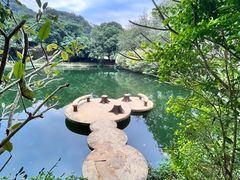 -广州市帽峰山景区