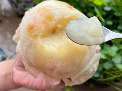 -老袁家蜜桃农场·阳山水蜜桃