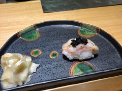 -鲤·鮨KOISUSHI