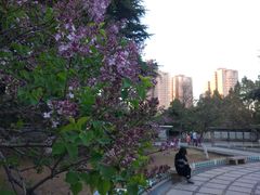 -山东师范大学(千佛山校区)