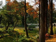 -人民公园(罗湖区)