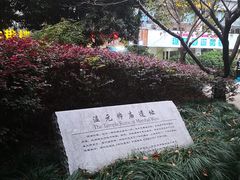 -温元帅庙遗址