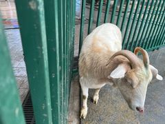 -海合安武汉极地海洋公园