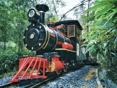 -九龙江国家森林公园