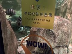 -沈阳海洋探索中心