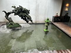 -觀芷隐轩