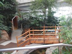 大堂-绿色时代大酒店