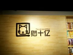 -猫十亿·布偶金渐层·曼基康矮脚猫舍(青年路店)