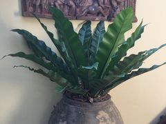-四季酒店下午茶