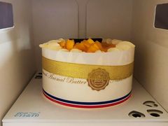 -维尔纳斯·生日蛋糕·动物奶油冰淇淋蛋糕(六里桥店)