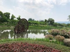 -长田漾湿地公园