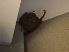 -秦皇岛阿尔卡迪亚滨海度假酒店