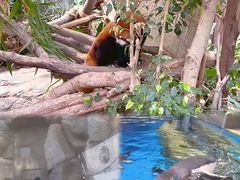 -香港海洋公园