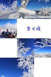 -大秃顶子山