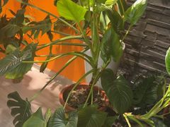 -泰古龙抓龙筋·spa按摩(静安店)