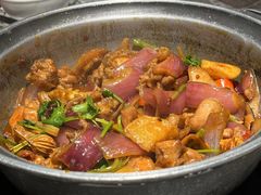 -禄婶鸡煲·打边炉