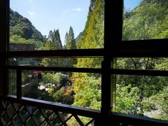 -宁海森林温泉