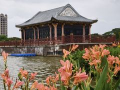 -顺峰山公园