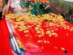 -领克中心(杭州凌客店)