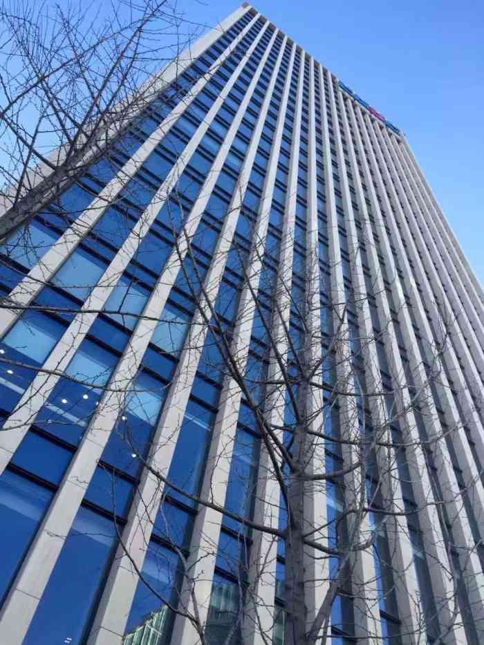 葛洲坝大厦-"环境不错,食堂花样好多,电梯很高级98.