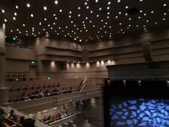 -北京喜剧院