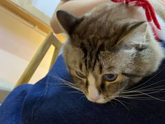 -白兔子密室(长寿路店)