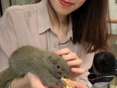 -藦茜花园宠物主题亲子互动体验馆(国顺东路店)
