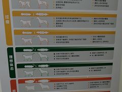 -宠颐生宠物医院外科·内科·皮肤科·影像科(石龙店)