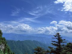 -牛背梁国家森林公园