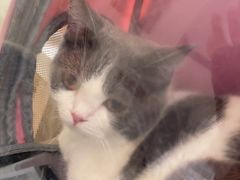 -宠颐生动物医院·心脏科·保险定点(锦阳分院)