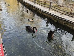 -水磨沟公园